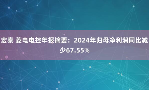 宏泰 菱电电控年报摘要：2024年归母净利润同比减少67.55%