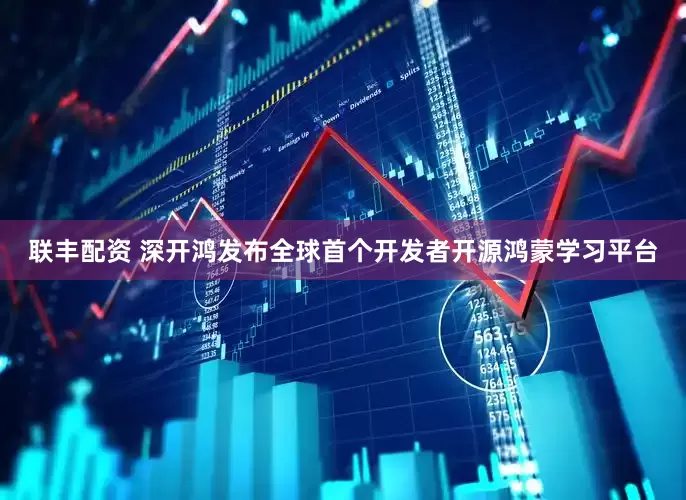 联丰配资 深开鸿发布全球首个开发者开源鸿蒙学习平台