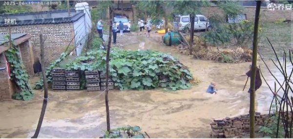 科云汇 河南八旬老人摔倒在水中，一旁民警未上前搀扶被免职，家属：看到有危险起码要扶一下