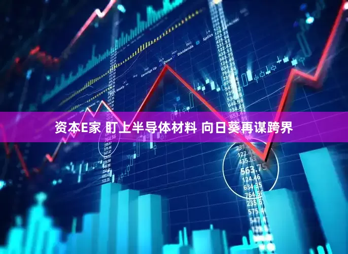 资本E家 盯上半导体材料 向日葵再谋跨界