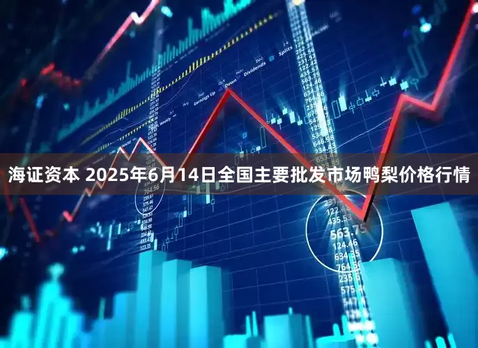 海证资本 2025年6月14日全国主要批发市场鸭梨价格行情