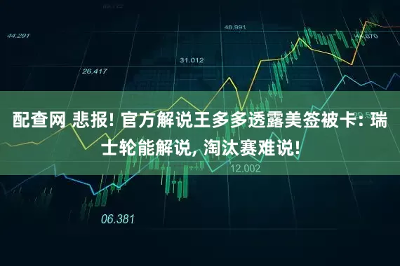 配查网 悲报! 官方解说王多多透露美签被卡: 瑞士轮能解说, 淘汰赛难说!